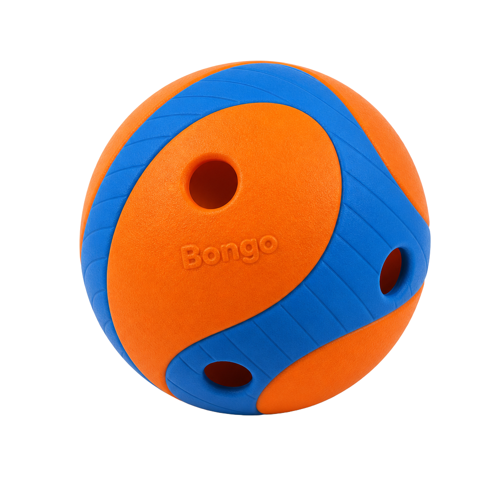 Orange and blue Bongo fetch ball